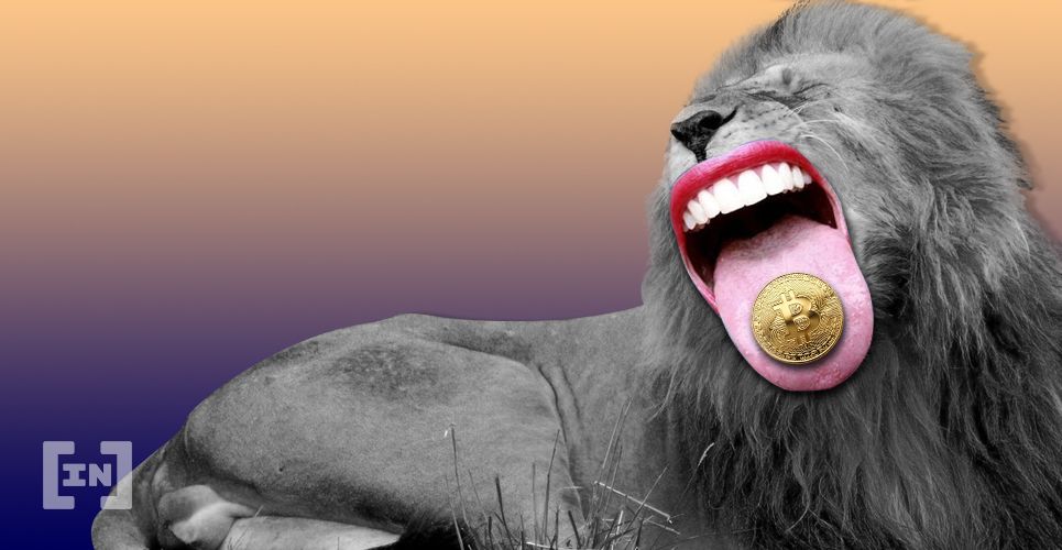 Почему биткоин является «безумно бычьей» и перспективной валютой