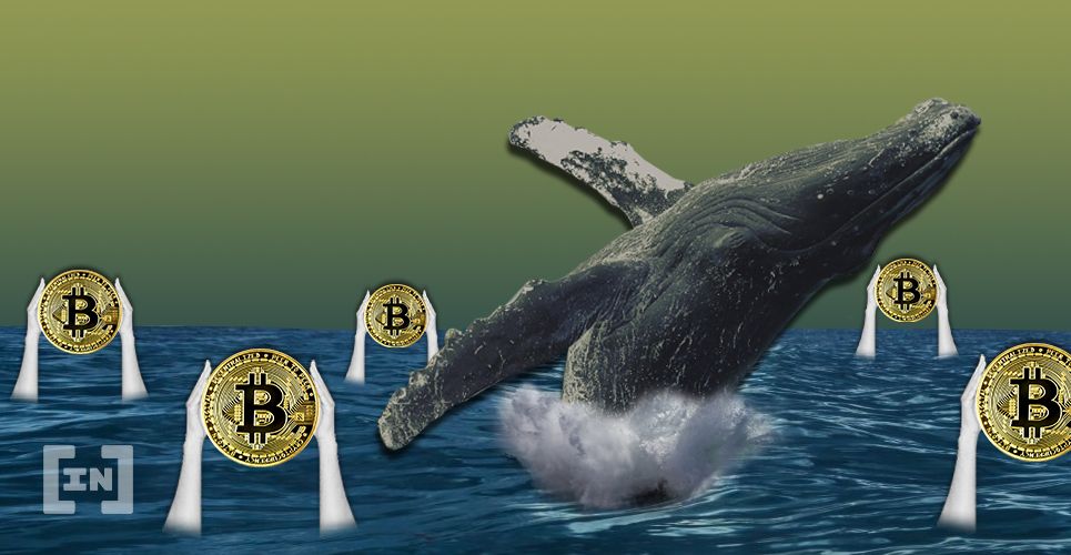 Биткоин-кит разослал почти 20 тысяч BTC по многочисленным адресам