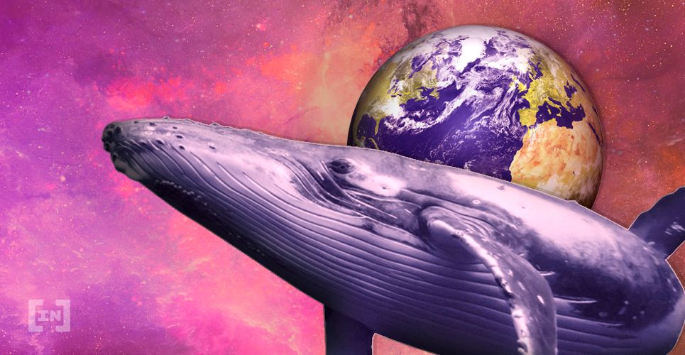 Неизвестный Tether кит шортит биткоин как перед мартовским обвалом