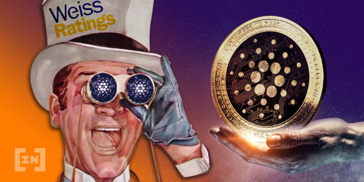 Cardano не подвел: рассказываем, в чем секрет успеха ADA