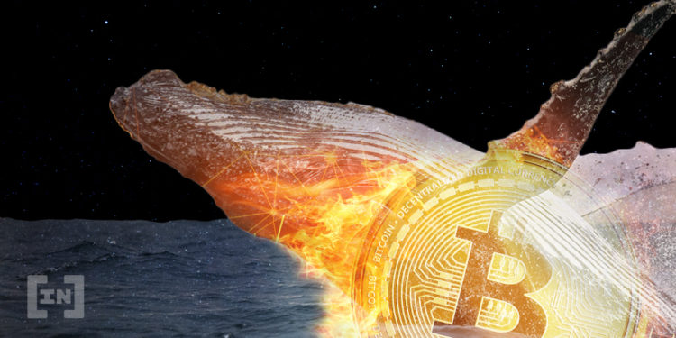 bic_btc_bitcoin_whale_wallet-750x375-1.jpg