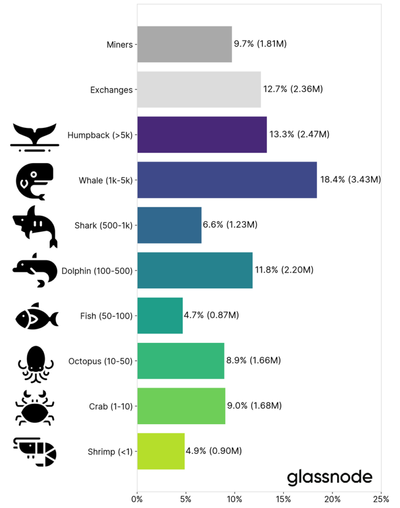 bitcoin distribution