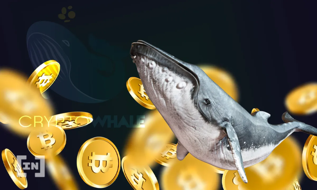 Кто такие биткоин «киты»: обзор обитателей «криптоморей»