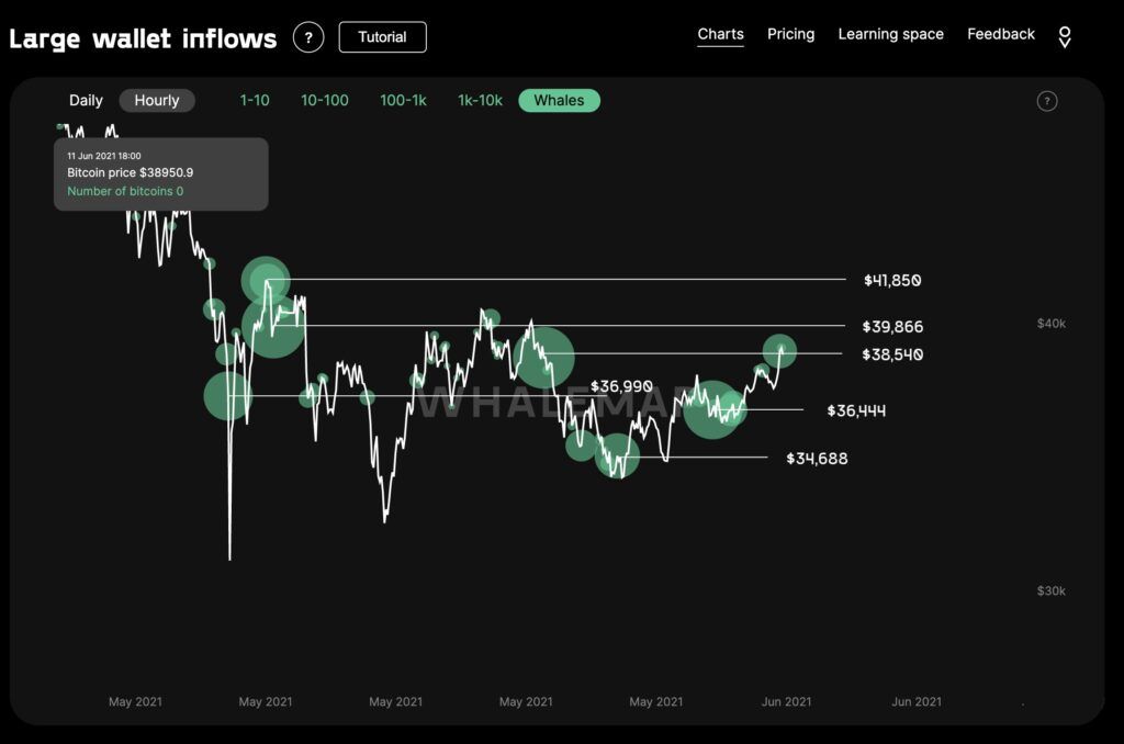 WhaleMap
