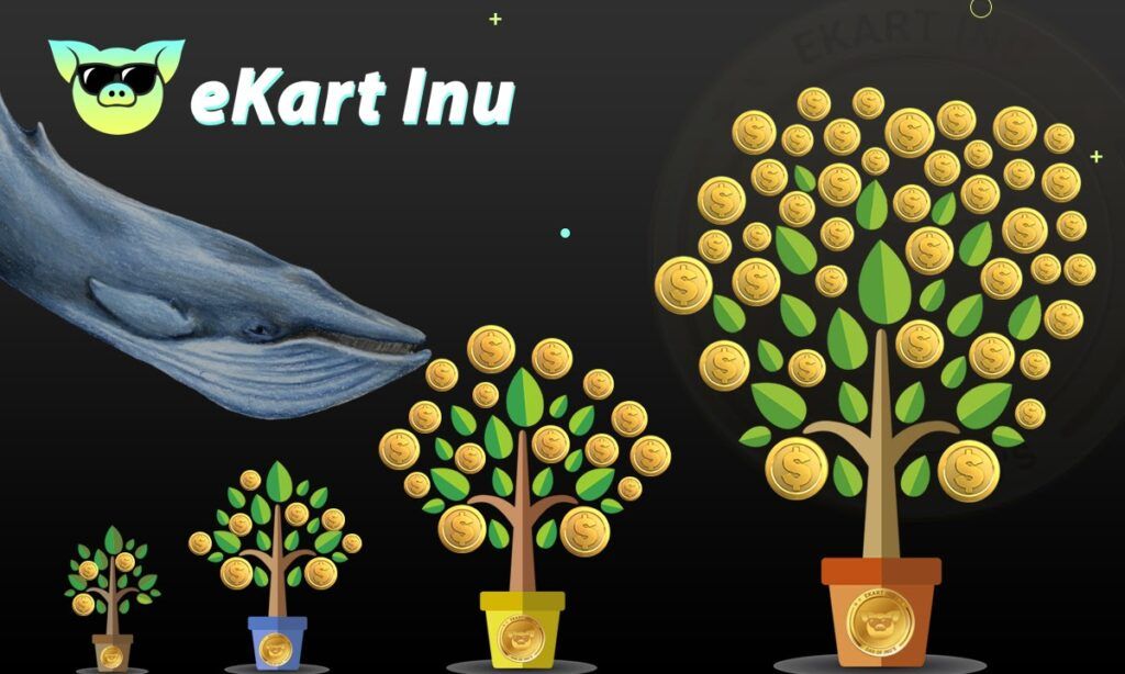 Первые владельцы Ekart Inu скоро станут миллионерами