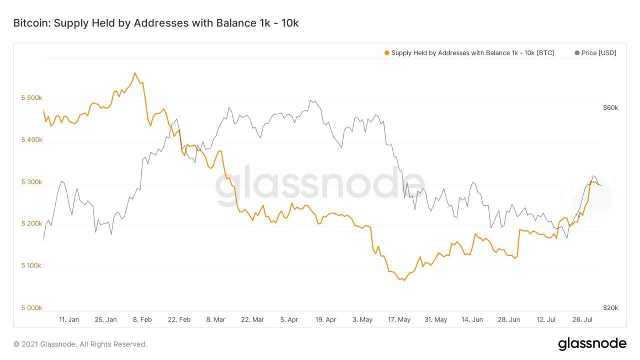 2 тысячи биткоинов в рублях. Кит график. Кот биткоин. Kadena Crypto Coin.