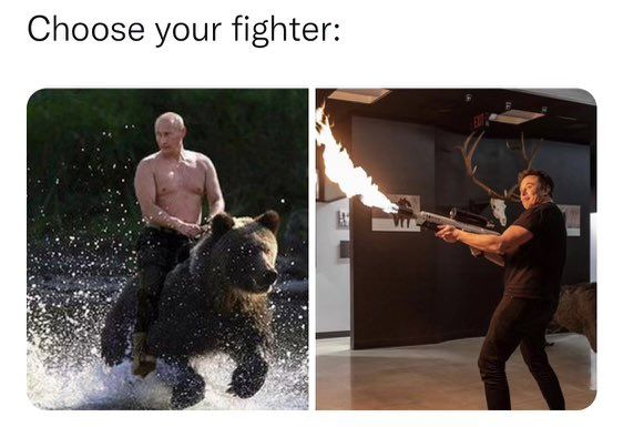 Мем о драке Илона Маска с Путиным