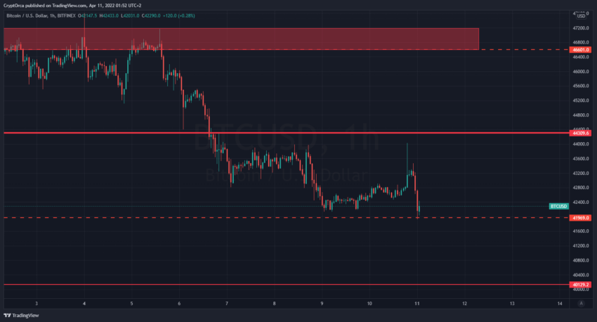 График биткоина от CryptOrca