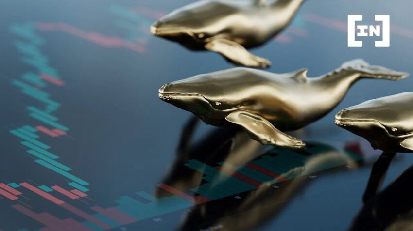 Мнение: киты помогут криптоинвесторам заработать в 2023 году