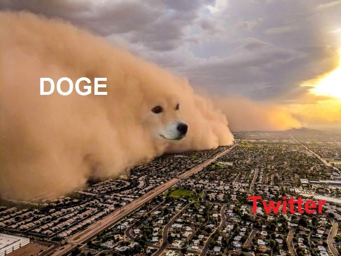 Шутка про Dogecoin