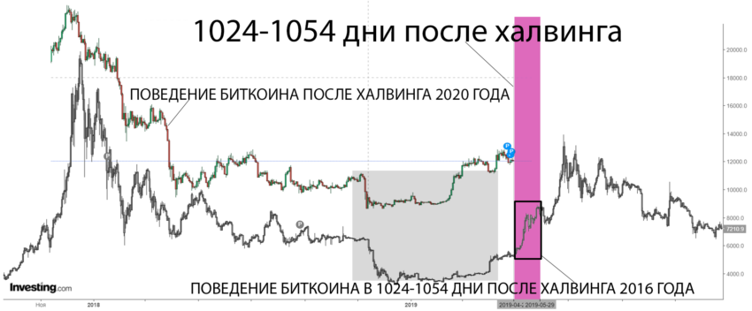 Поведение биткоина в период с 1024-1054 после халвинга 2016 года, в сравнении с движением BTC после халвинга 2020 года