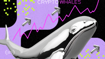 Перспективы на июнь: внимание китов снова привлекли ИИ-токены