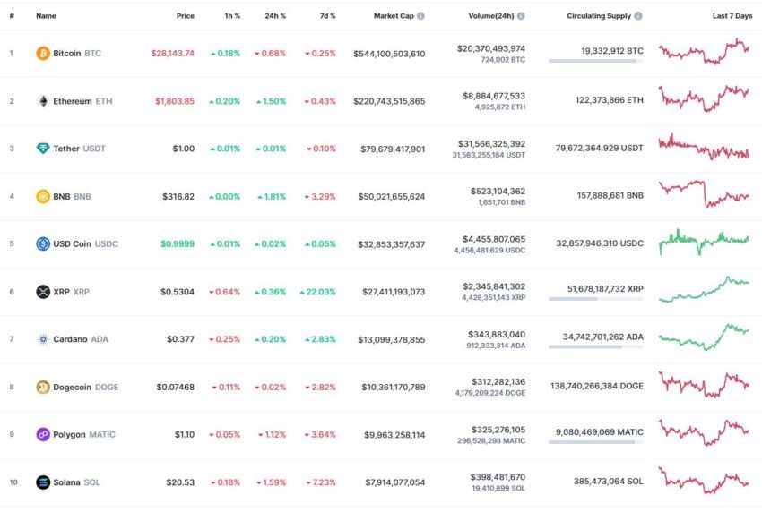 Most Capitalized Cryptocurrencies