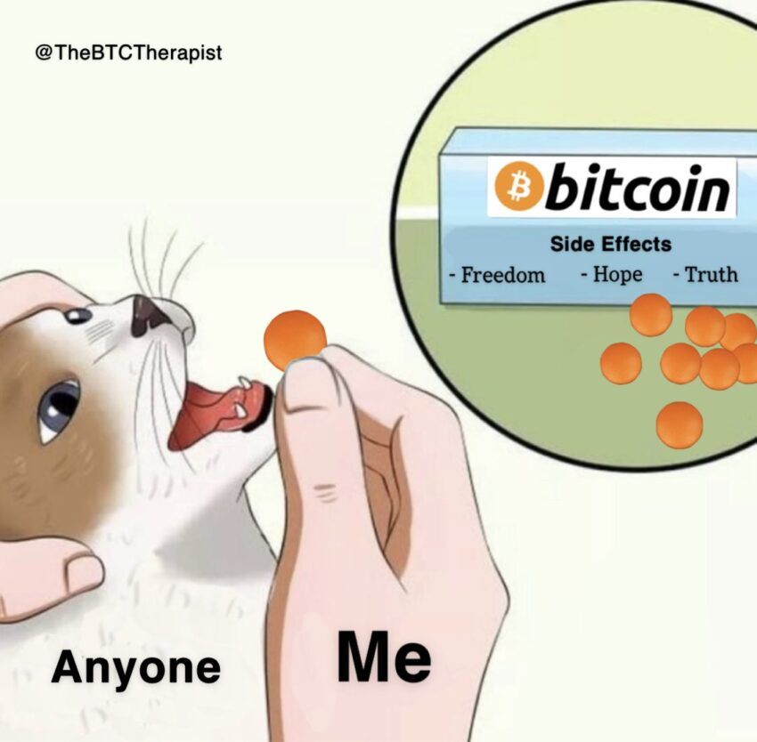 мемы недели