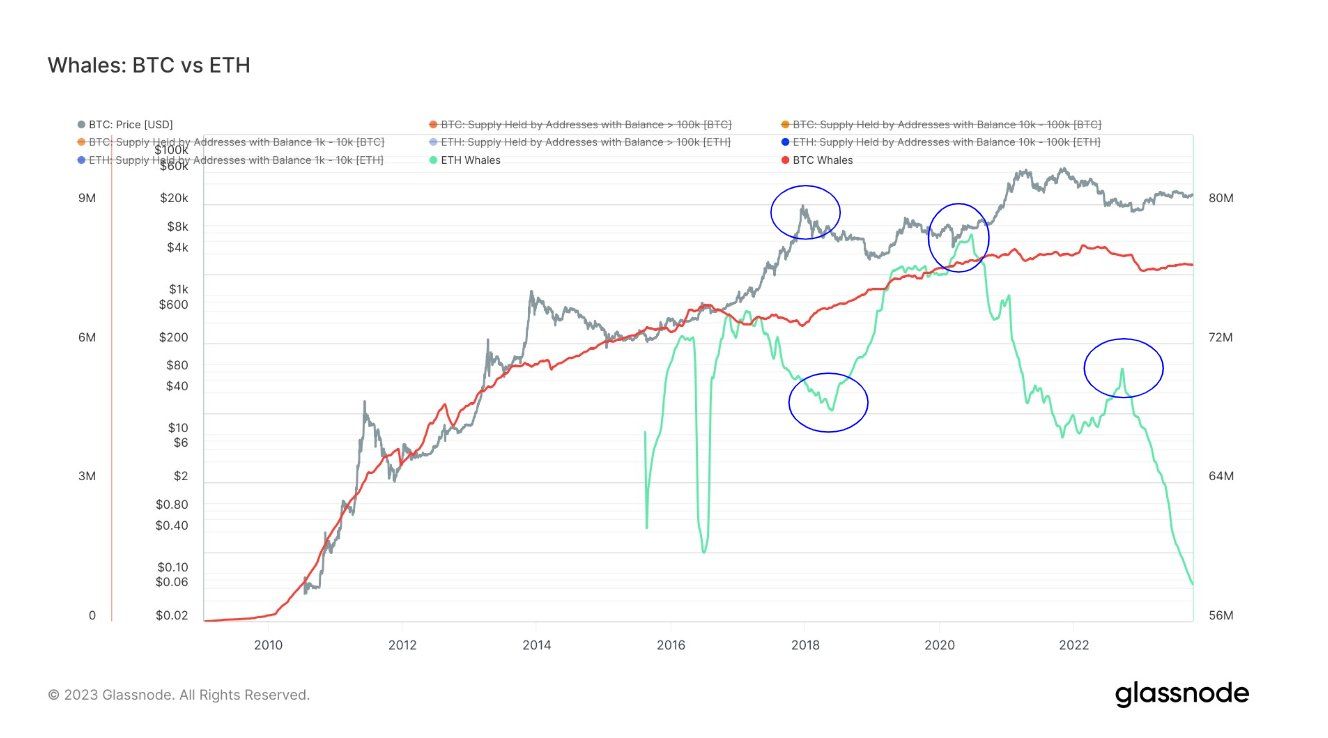 Поведение Ethereum- (голубая кривая) и биткоин-китов (красная кривая)