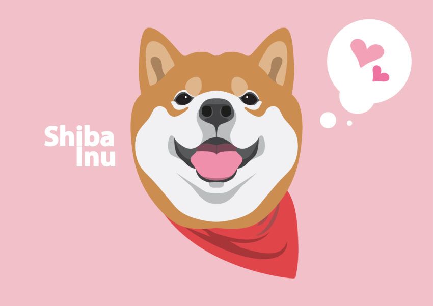 Упустили рост Shiba Inu? Эта криптовалюта намерена повторить успех SHIB