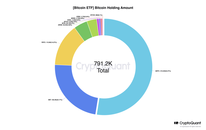 bitcoin etf allocations