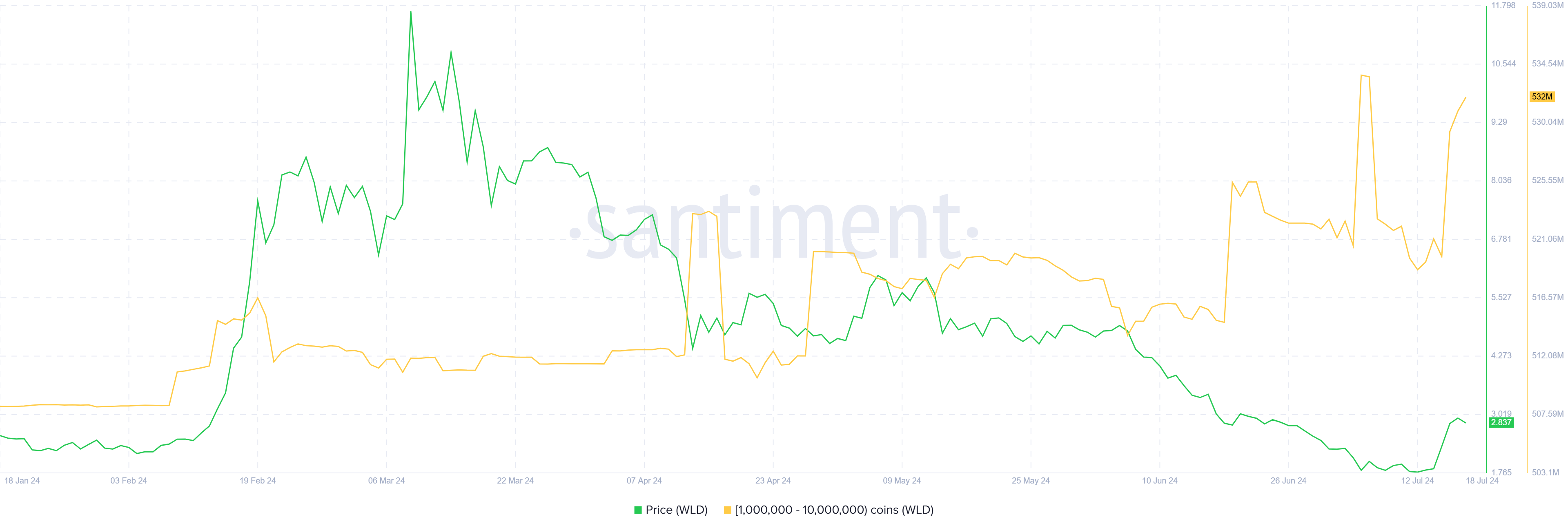 Worldcoin Whale Holdings.